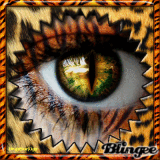 Blink