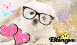 Quiero un perrito T^T