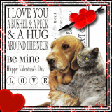 A Bushel and a Peck ~ Dog & Cat