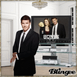 tv show "Bones" (Sily Booth)