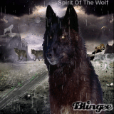 Spirit Of the Wolf