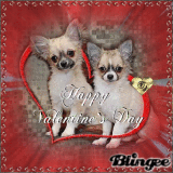 Happy Valentin`s Day