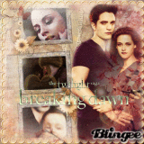 BREAKING DAWN/PARTIE 2
