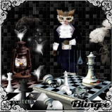 Fantasy Chess Cat & Fairies