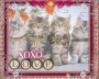 meow meow cats