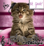 MUSIC CAT