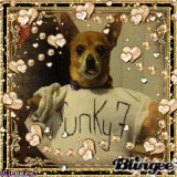 punky7 punky7