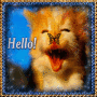 Hallo
