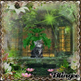 The Zen Kitten~Peace To "ALL" My Friends