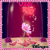 Love Flower!!!