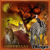 wild animals challenge