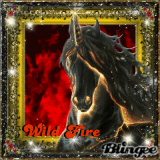 Wild Fire