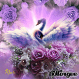 Cisnes y flores en Violeta