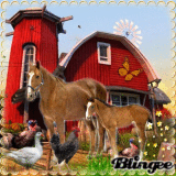 Spring Farm Animals