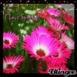 I Love Spring