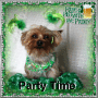 PARTY TIME PUPPY TOP 85 PARTY TIME PUPPY TOP 85