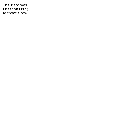 Mint Chocolate Chip