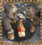 LES AMIS