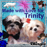 For Trinity
