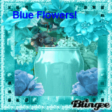 Blue Flowers! 