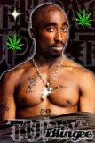 tupac