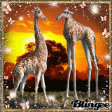 Giraffe World