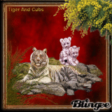 Tiger And Cubs