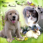 Animaux - Loves animals