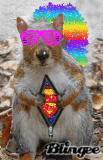 *GLITTER* Chipmunk