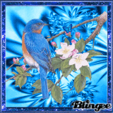 Blauer Vogel im Frühling
