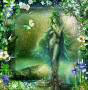 Spring beauty