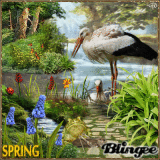 Spring