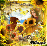 SUN FLOWER FAIRY