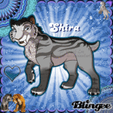 Shira Blingee!