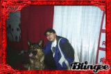 Codetski and Canine