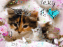 Chatounet