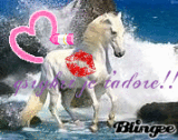 for @gsryhrt
