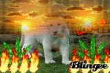 le lionceau du feux.