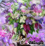 FrüHLiNg  /   S P R I N G 