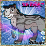 Shira Blingee