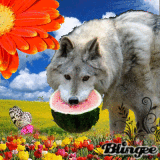 Flower Wolf