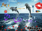 Love & Mer