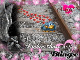 Love Birds
