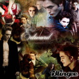 ██████████ 100% twilight
