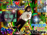 rasta2197