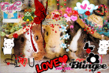 Flowers&Piggies^^