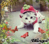 sunshinemausi66