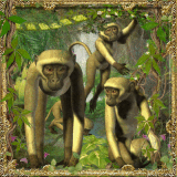 Monkeys in the Jungle