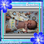 Little Baby Zander