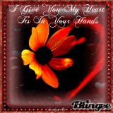 I Give You My Heart It's In Your Hands!!!